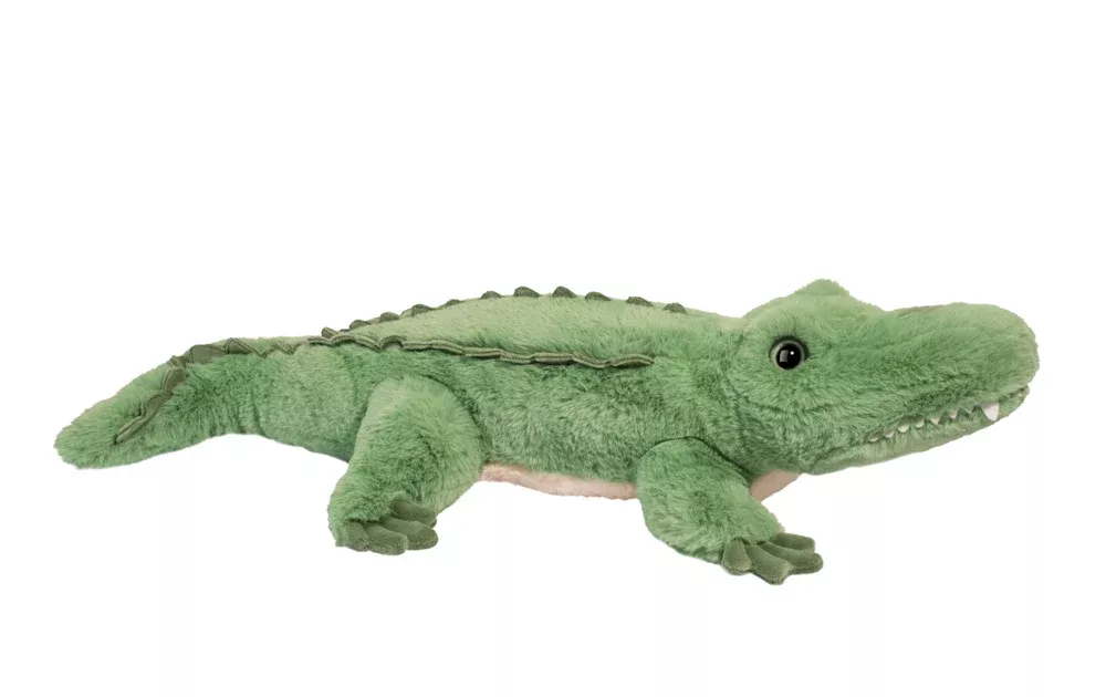 Alligator Snappy
