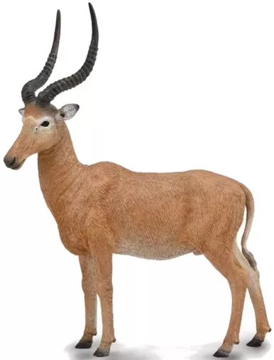 Antelope - Hirola (CollectA)