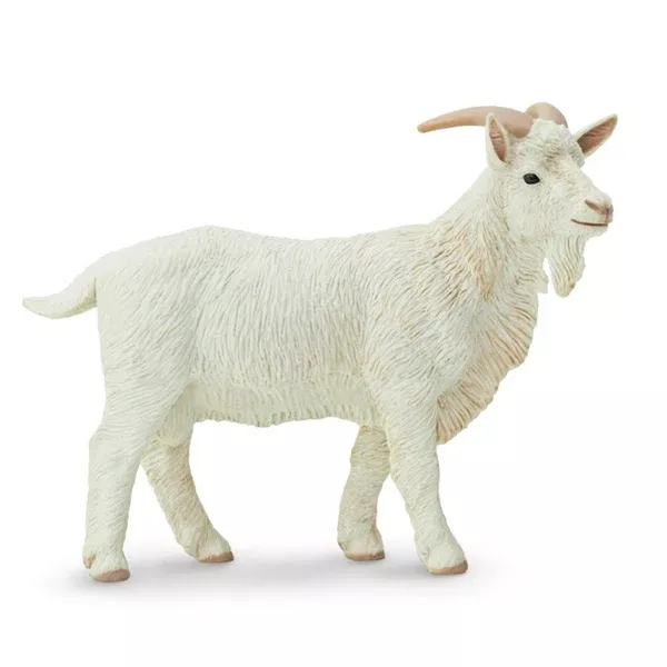 Billy Goat Safari Farm Safari Ltd