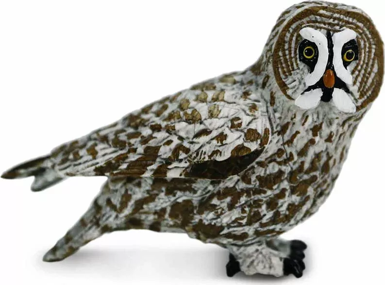 Bird Great Grey Owl
