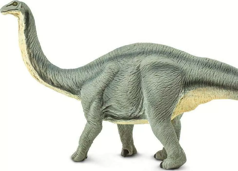 Dinosaur Apatosaurus Toy