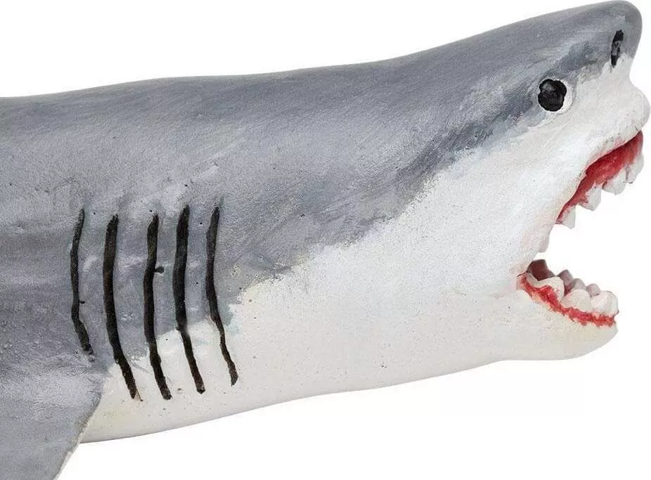 Dinosaur Megalodon
