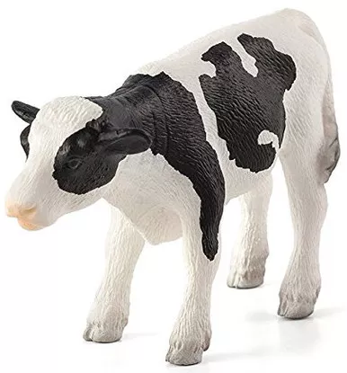 Holstein Calf - Standing (Mojo)