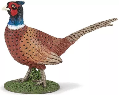 Pheasant (Papo)