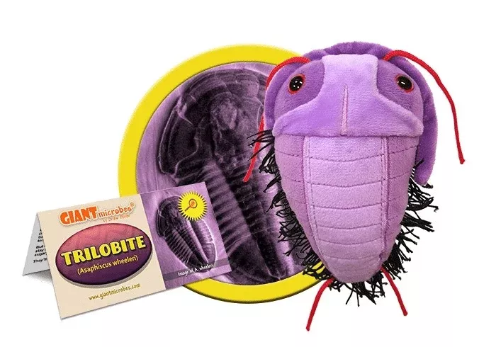 Plush Trilobite