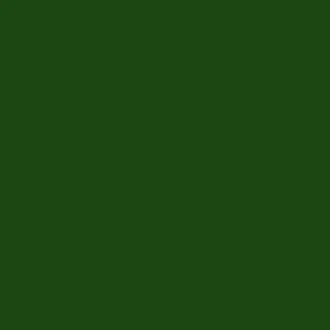 Scalecoat II 20191 (plastic) Enamel Model Paint