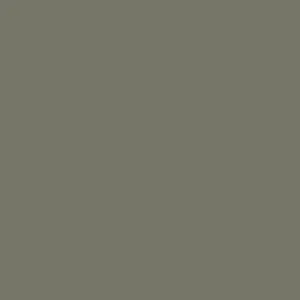 Scalecoat II 20411 (plastic) Solvent Based Enamel Model Paint