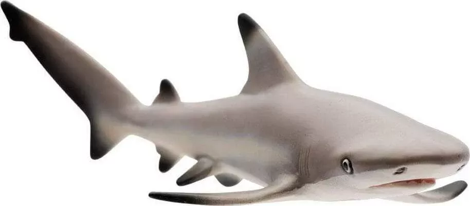 Sealife Blacktip Reef Shark Toy