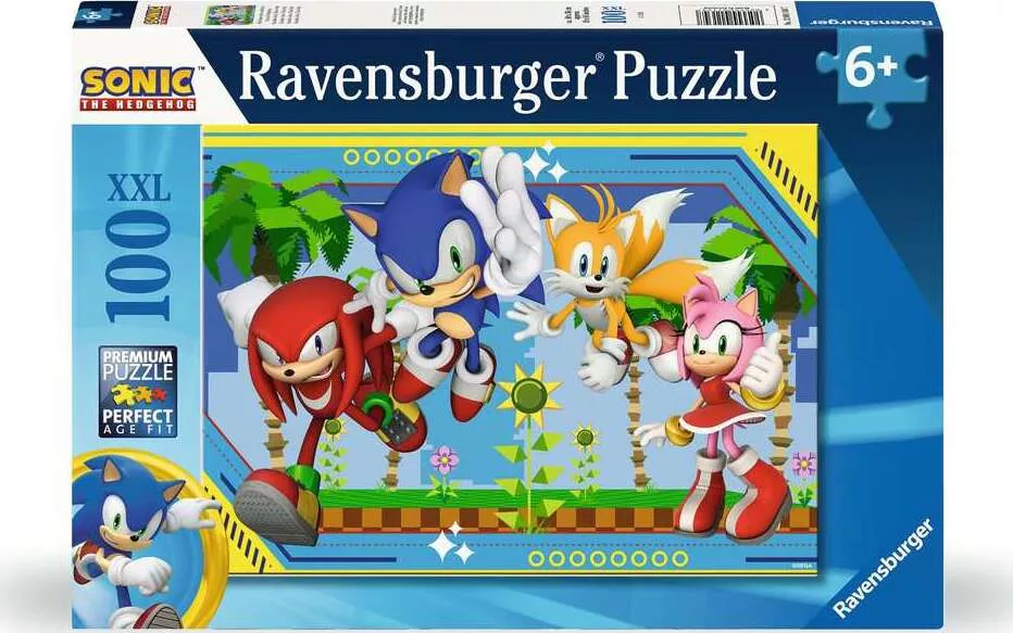 Sonic The Hedgehog 100 pc
