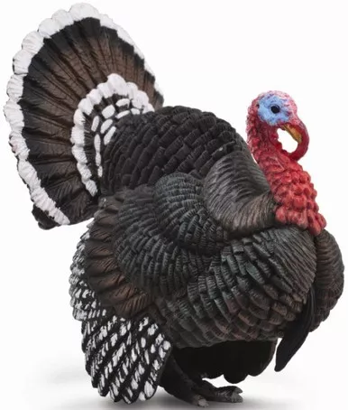 Turkey - Bronze (CollectA)