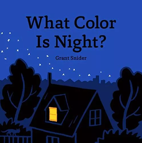 What Color Is Night? Hardcover