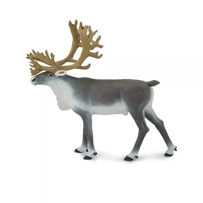 WSW Caribou XXX