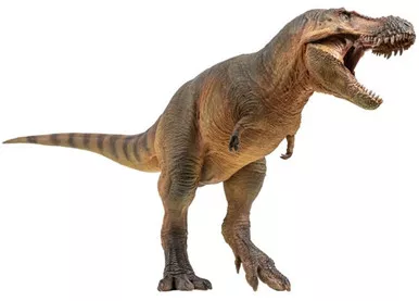 Zhuchengtyrannus -Lu Xiong (PNSO)